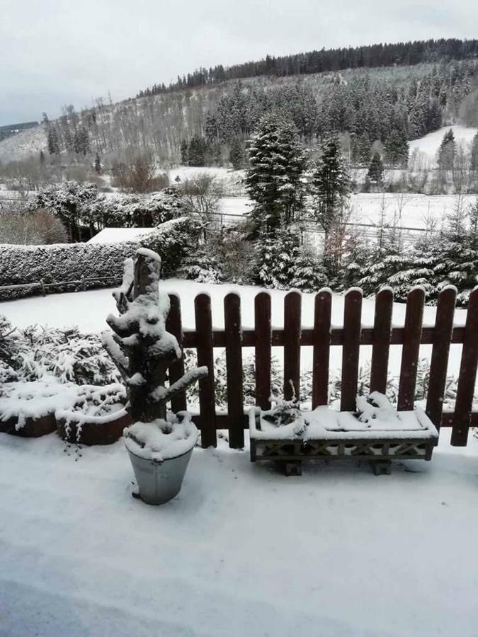 Haus Ani Winterberg Villa Exteriör bild